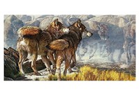 Return of the Wild Fine Art Print