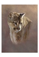 Watchful Eyes Fine Art Print