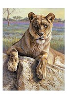Serengeti Lioness Fine Art Print