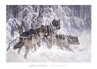 Edge of Winter (detail) Fine Art Print