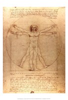 Vitruvian Man Fine Art Print