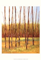 Tall Trees I (left) Fine Art Print