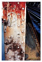 V Gallery C Fine Art Print