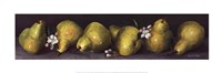 Pears in a Row Fine Art Print
