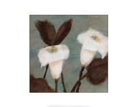 Solace Fine Art Print