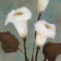 Purity Fine Art Print