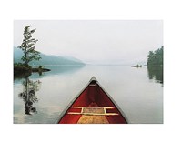 Pointing the Way Fine Art Print