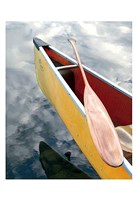 Still Fine Art Print