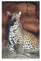 Sitting Leopard Fine Art Print