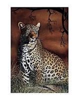 Sitting Leopard Fine Art Print