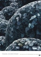 Untitled (Mylar), 2008 Fine Art Print