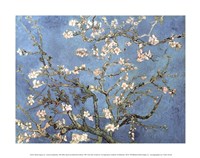 Almond Blossom, 1890 Fine Art Print