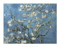 Almond Blossom, 1890 Framed Print