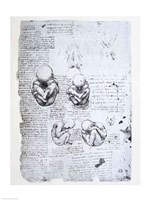 Five Views of a Fetus in the Womb Fine Art Print