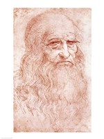 Portrait of a Bearded Man Fine Art Print