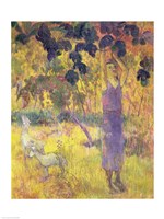 Man Picking Fruit from a Tree, 1897 Fine Art Print