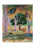 Dominican Landscape Fine Art Print