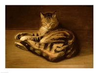 Recumbent Cat, 1898 Fine Art Print