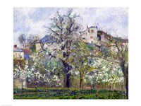 The Vegetable Garden with Trees in Blossom, Spring, Pontoise, 1877 Fine Art Print