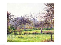 Morning Sun, Autumn, Eragny, 1897 Fine Art Print