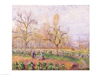 Orchard at Pontoise, 1878 Fine Art Print
