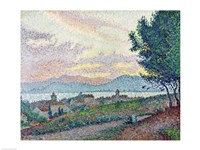 St. Tropez, Pinewood, 1896 Fine Art Print