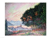 Forest near St. Tropez, 1902 Fine Art Print