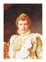 Napoleon I Fine Art Print