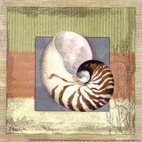 Montego Nautilus- petite Framed Print