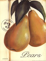 Organic Pears by Pam Britton - 12" x 16"