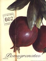 Organic Pomegranates by Pam Britton - 12" x 16"