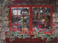 Window with Flowers I by Georgia Janisse - 16" x 12"