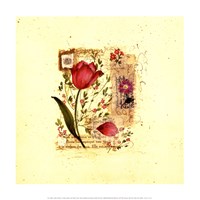 Flower Notes with Purple Tulip Fine Art Print