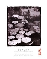 Beauty: Lilypads - 22" x 28"