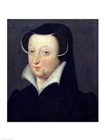 Jacqueline de Rohan Fine Art Print