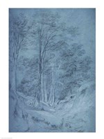 Study of ash and other trees Fine Art Print