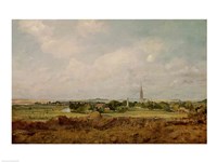 View of Salisbury Fine Art Print