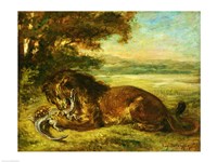 Lion and Alligator, 1863 Fine Art Print