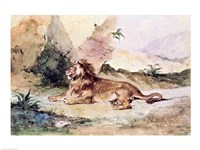 A Lion in the Desert, 1834 Fine Art Print