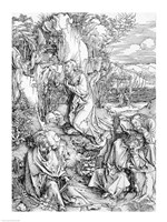 Agony in the Garden from the 'Great Passion' Fine Art Print