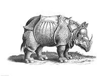 Rhinoceros Fine Art Print