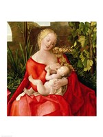 Virgin and Child 'Madonna with the Iris', 1508 - red dress Fine Art Print