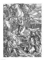 Jesus Christ on the Mount of Olives Fine Art Print