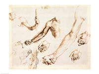 Study of male hands and arms Fine Art Print