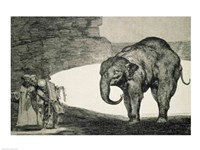 Folly of Beasts, from the Follies series Fine Art Print