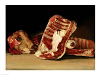 Still life of Sheep's Ribs and Head Fine Art Print