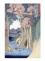 The monkey bridge in the Kai province Fine Art Print