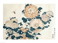 Chrysanthemums Fine Art Print