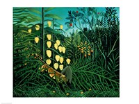Tropical Forest: Battling Tiger and Buffalo, 1908 by Henri Rousseau, 1908 - various sizes