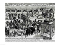 'The Barnum and Bailey Greatest Show On Earth' Curious Animals Fine Art Print